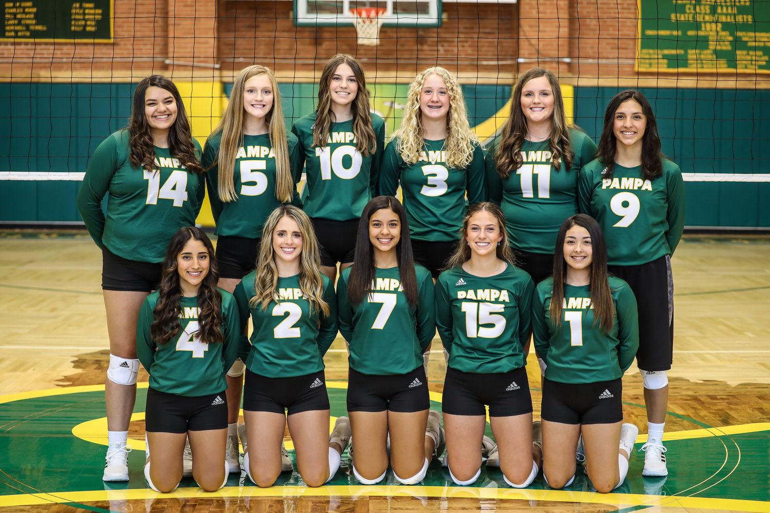 Lady Harvester Volleyball All-District Nods Pampa News image pic